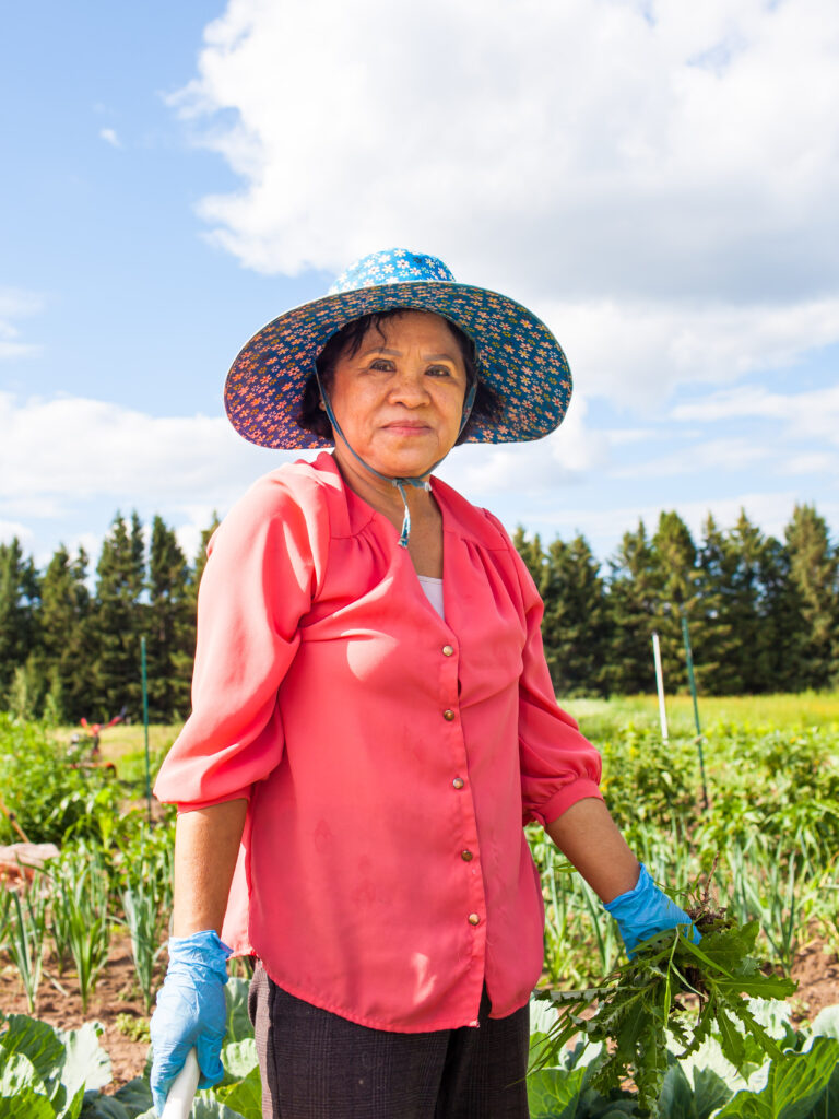 Addressing the Challenge of Young Farmers Finding Brides: A Global Iss –  resetagri